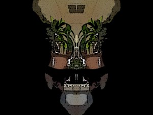 Abstractions Photo 2a